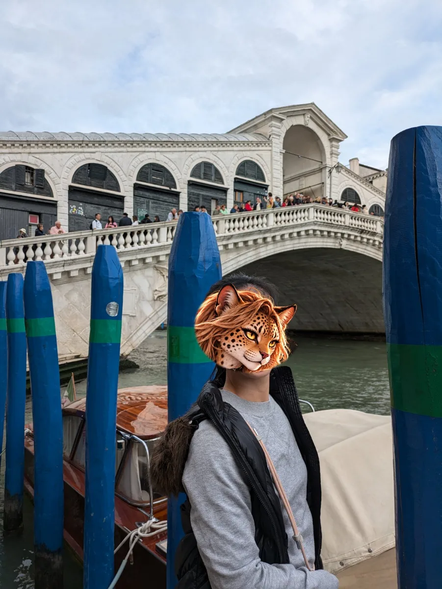 里亞托橋(Ponte di Rialto)與運河邊的木樁。