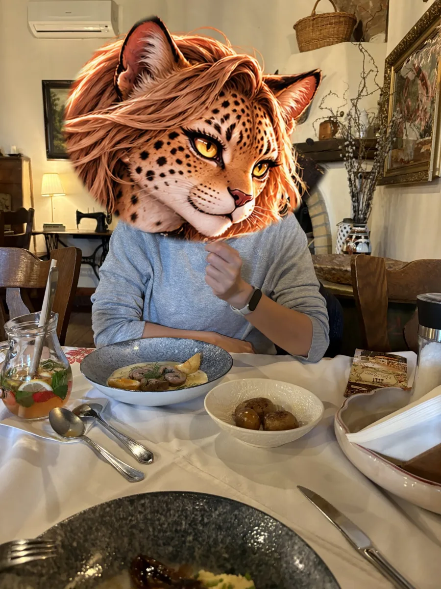 晚餐桌上的湯品與主餐。