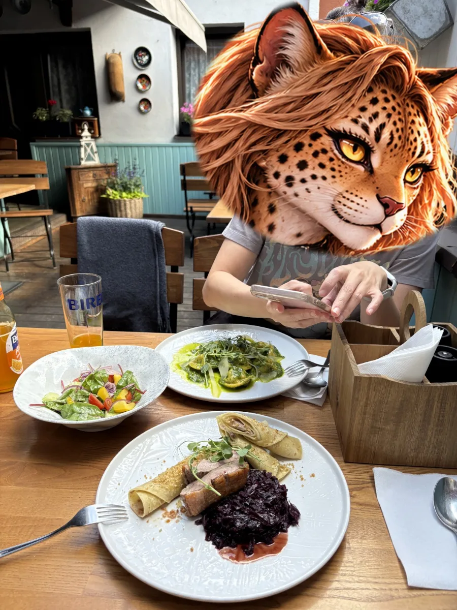 老城裡的午餐:沙拉、捲餅和紫高麗菜。