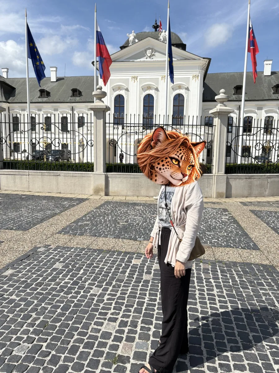 格拉薩爾科維奇宮(Grasalkovičov palác),現在是斯洛伐克總統府,門前掛著國旗與歐盟旗。