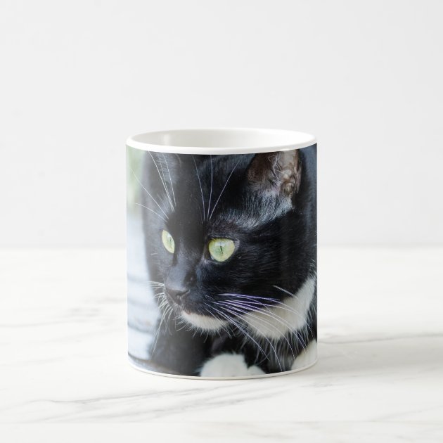 Zazzle product image of a white coffee mug printed with a photo of a black and white tuxedo cat.