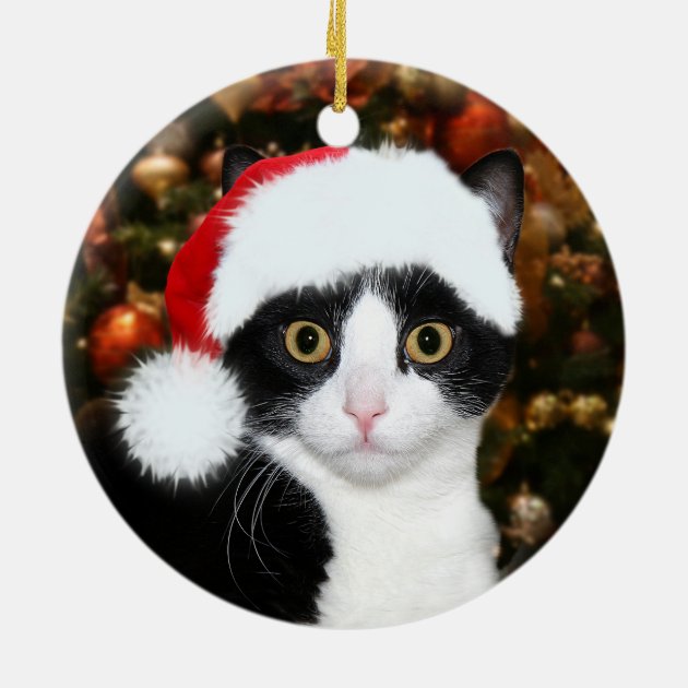 Zazzle product image of a round ceramic ornament with a gold thread, showing a tuxedo cat in a Santa hat in front of Christmas tree lights.